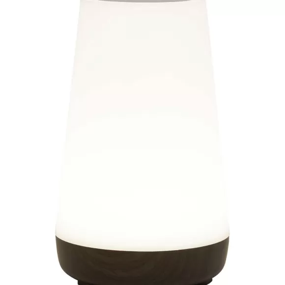 LSC Smart Connect Lampen>Deluxa Touch Lamp