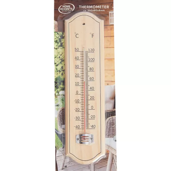 Merk Tuindecoratie>Home Accents Thermometer