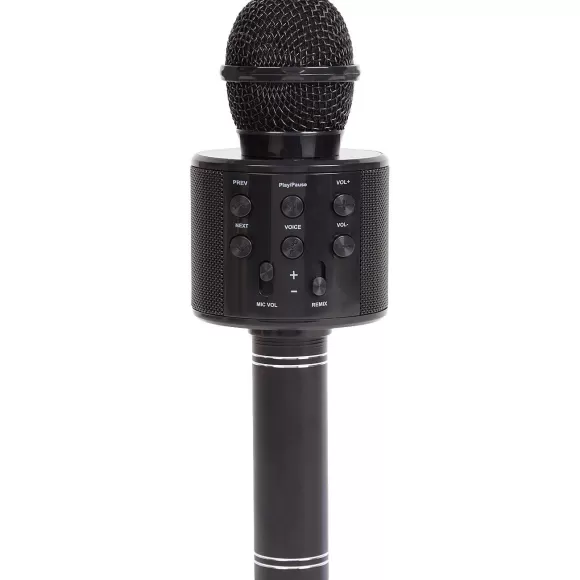 Lab31 Multimedia Accessoires>Karaoke-Microfoon