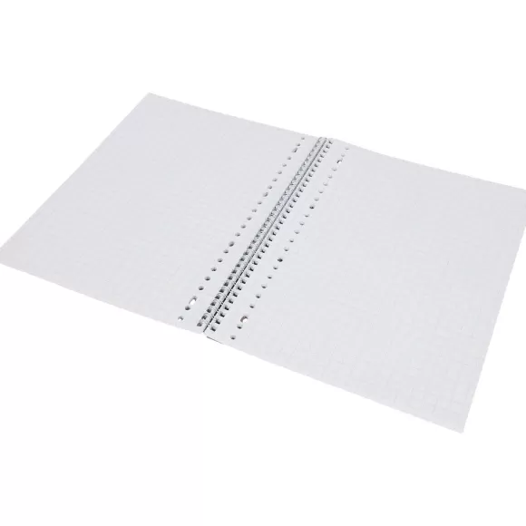 Office Essentials Papier & Schriften> Collegeblok Ruit