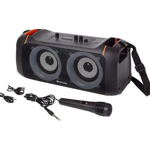 Roseland Multimedia Accessoires> Party Speaker Rs-500