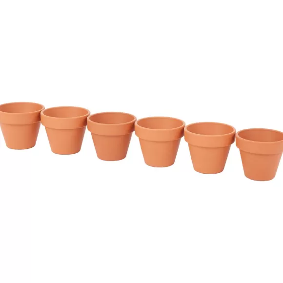 Merk Bloempotten>Terracotta Bloempotjes